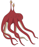 Octopus