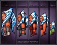 Evolution of Ahsoka Tano.jpg (44 KB)