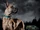 Scooby-Doo