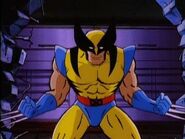 Wolverine