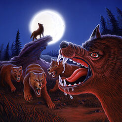 Night in Werewolf Woods