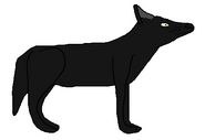 Jacob the Black Wolf.png (5 KB) Jacob