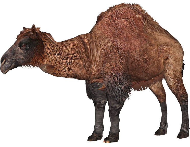 Zoo Tycoon PS4 | Idea Wiki | Fandom Zoo Tycoon PS4 | Idea Wiki | Fandom