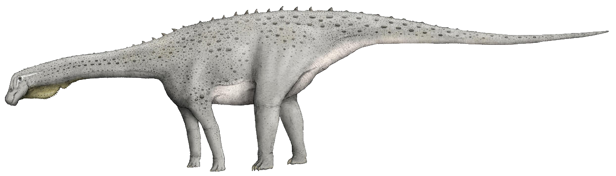 Mokele-mbembe, Novum Terram Wiki