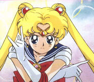 Sailor Guardian Commander Sailor Moon