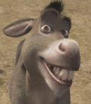 Donkey