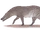 Pakicetus (SciiFii)