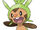 The Day in a Life of Chespin