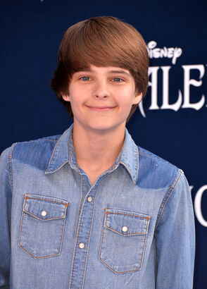 Corey Fogelmanis, Idea Wiki