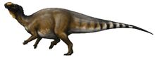 Muttaburrasaurus (SciiFii)