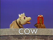 ...and finally the word COW (1982)