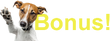 NAME.png
