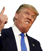 Donald Trump (NMD) | Idea Wiki | Fandom