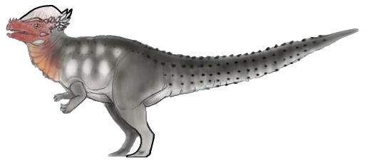 Pachycephalosaurus V3 Sciifii Idea Wiki Fandom 7609