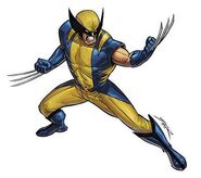 Wolverine