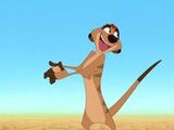 Timon