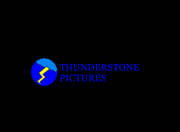 Thunderstone Pictures 1980-2009 Logo
