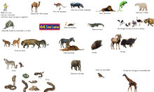 64 Zoo Lane
