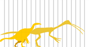 Size chart showing Australotherizinn and Therizinosaurus.