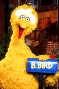 Big Bird