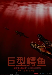 Official Chinese Poster