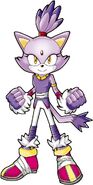 Blaze the Cat