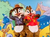 One Man's Dream 2.0: Mickey's Rolling Film Festival