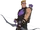 Hawkeye1.png