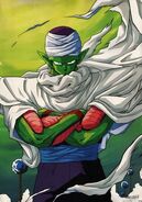 Piccolo