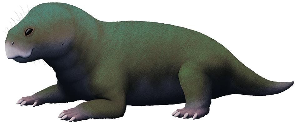 Mokele-mbembe, Novum Terram Wiki