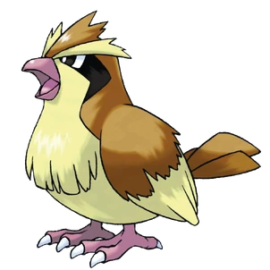 Pidgey