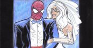 Spider-Man & Black Cat