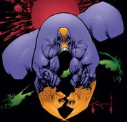 The Maxx