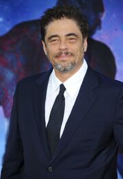 Benicio del Toro 2