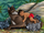More Jungle Book (Disney TV Series)