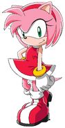 2D Amy Rose (large)