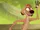 Timon-img.webp