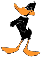 Daffy Duck