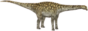 Borealosaurus (SciiFii).png