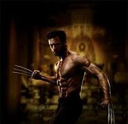 Wolverine