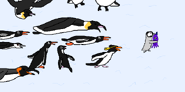 Little Pipsqueak saves Octi from other penguins that mistake it for squid. (seen in Saving Mr. Octi)