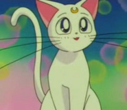 Artemis (Sailor Moon)