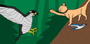 Valentino defends William and Kelly while Gossy attacks. (seen in Kelly, William and the Goshawk)