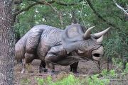 Triceratops Dinosaur