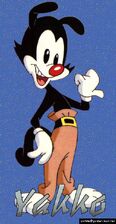 Yakko.jpg