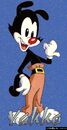 Yakko Warner