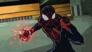 Miles Morales, the Kid Arachnid