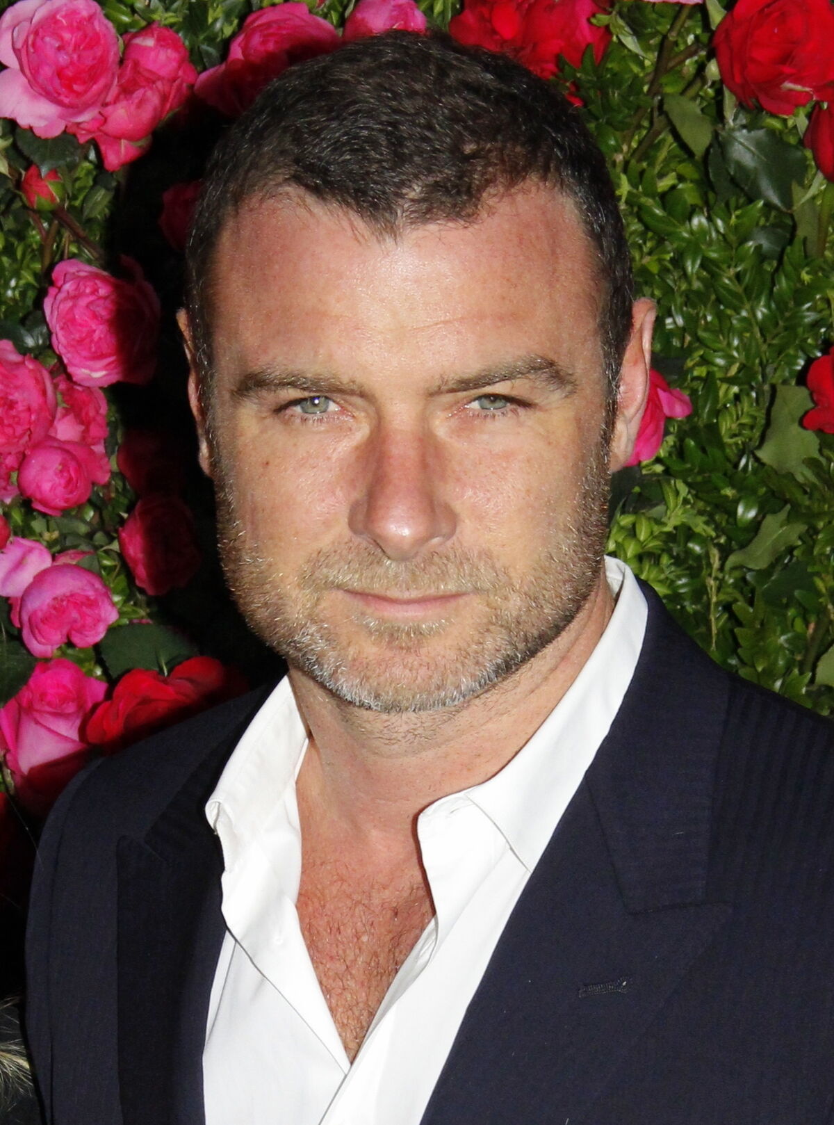 Liev Schreiber, Idea Wiki