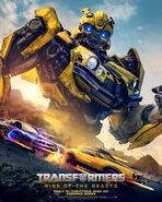 Bumblebee FB IMG 1683885761254