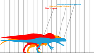 Revised size chart with accurate size and proportions for the Mega.